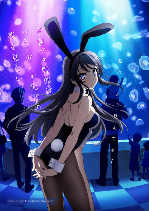 &quot;Seishun Buta Yaro wa Bunny Girl-senpai no Yume wo Minai&quot; - Key art