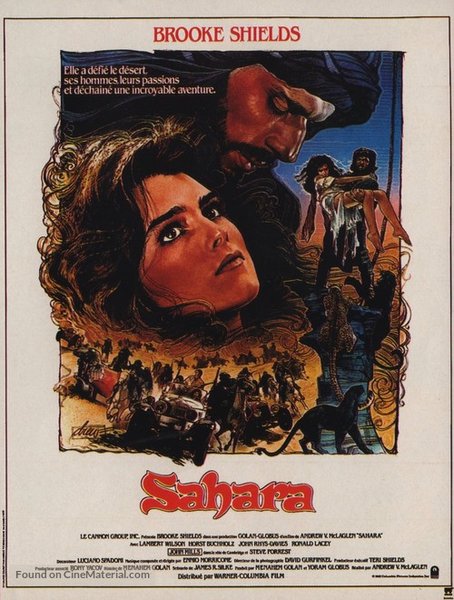 Sahara - French Movie Poster