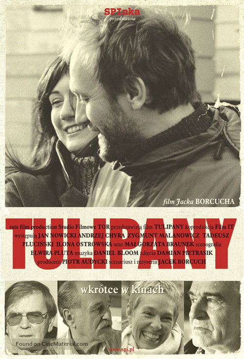 Tulipany - Polish poster