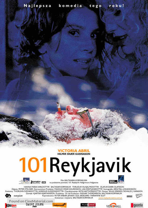 101 Reykjav&iacute;k - Polish poster
