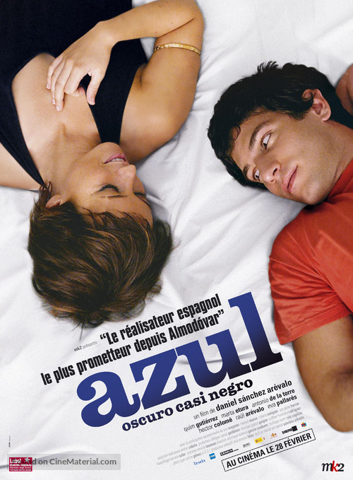 Azuloscurocasinegro - French Movie Poster