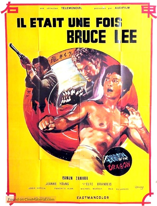 Shadow of the Dragon - French Movie Poster