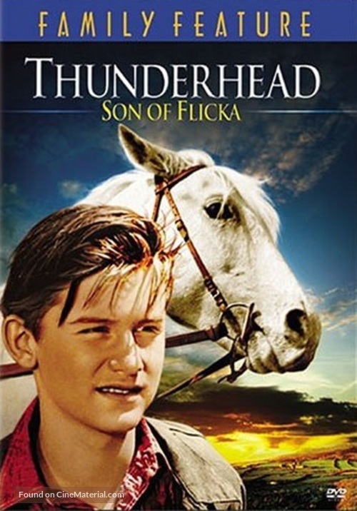 Thunderhead - Son of Flicka - DVD movie cover