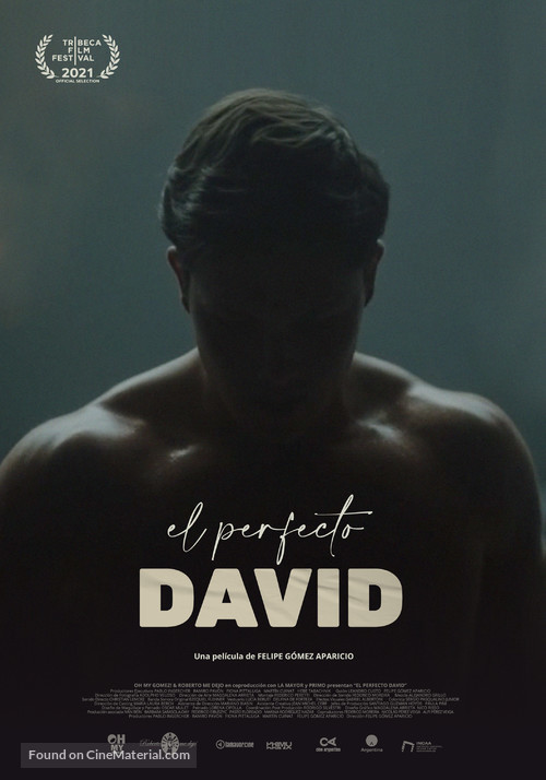 El perfecto David - Argentinian Movie Poster