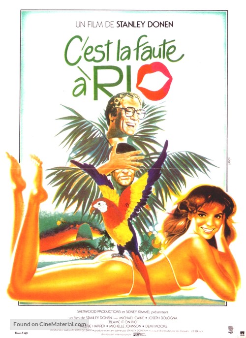 Blame It on Rio - French Movie Poster