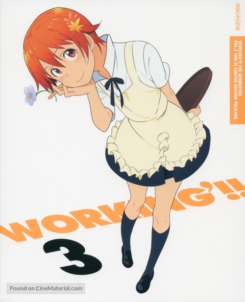 &quot;Working!!&quot; - Japanese DVD movie cover
