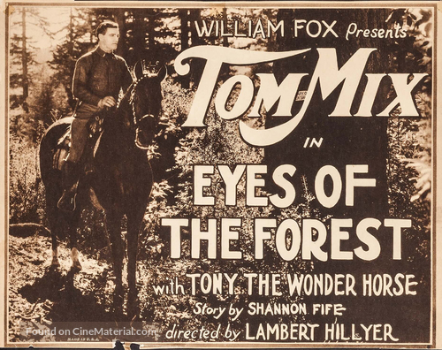 Eyes of the Forest - Movie Poster