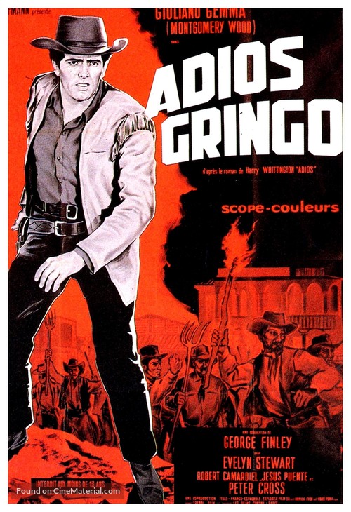 Adi&oacute;s gringo - French Movie Poster