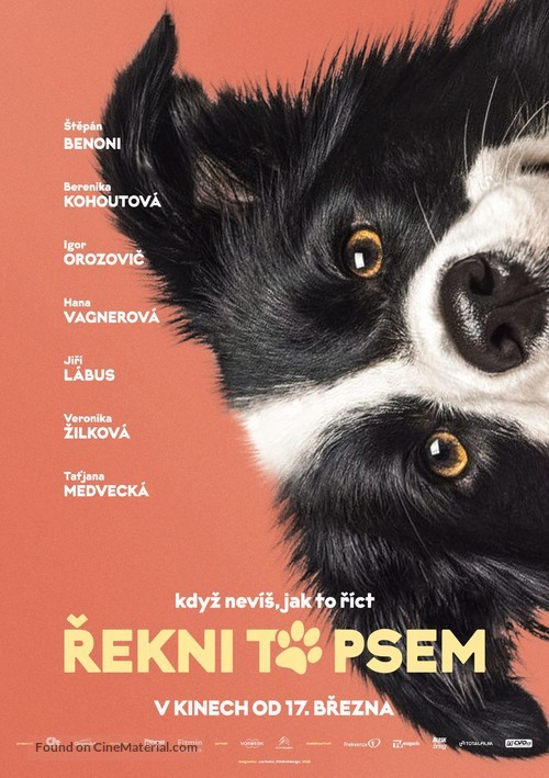 Rekni to psem - Czech Movie Poster