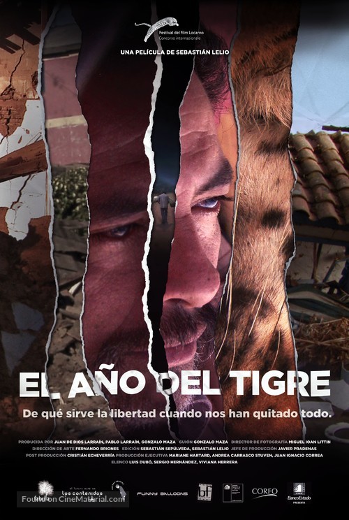 El a&ntilde;o del tigre - Chilean Movie Poster