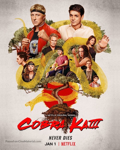 &quot;Cobra Kai&quot; - Movie Poster