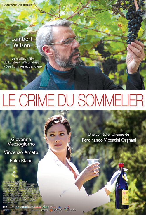 Vino dentro - French Movie Poster