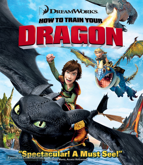 How to Train Your Dragon - Movie Cover