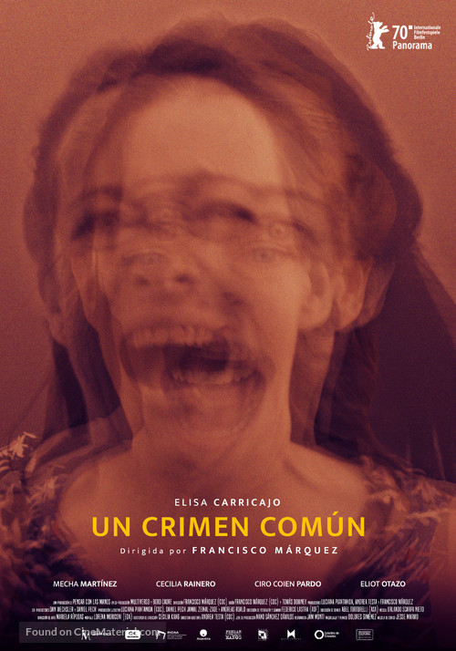 Un crimen com&uacute;n - Argentinian Movie Poster