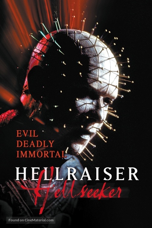 Hellraiser: Hellseeker - DVD movie cover