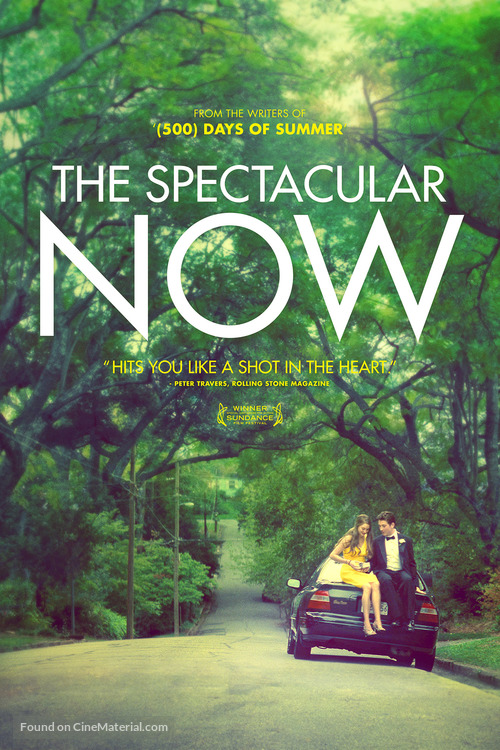 The Spectacular Now - DVD movie cover