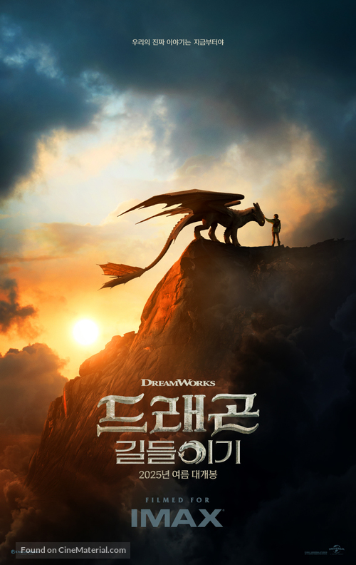 How to Train Your Dragon - South Korean Movie Poster