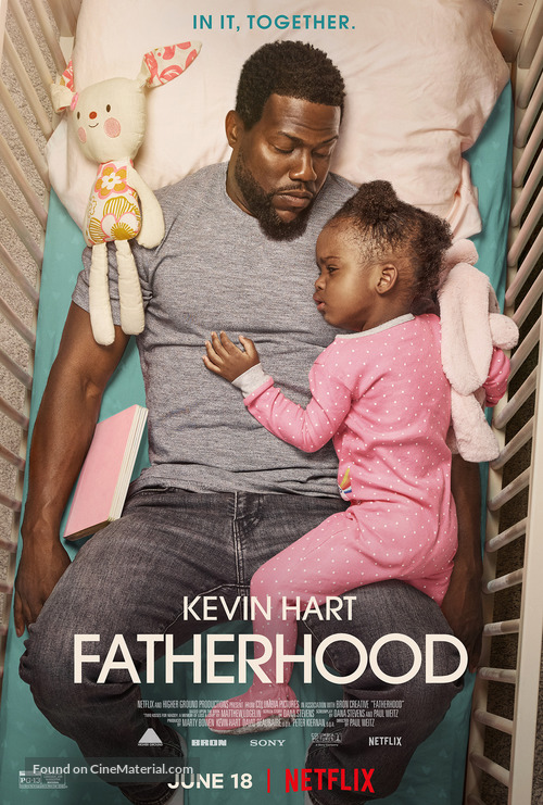 Fatherhood - Movie Poster