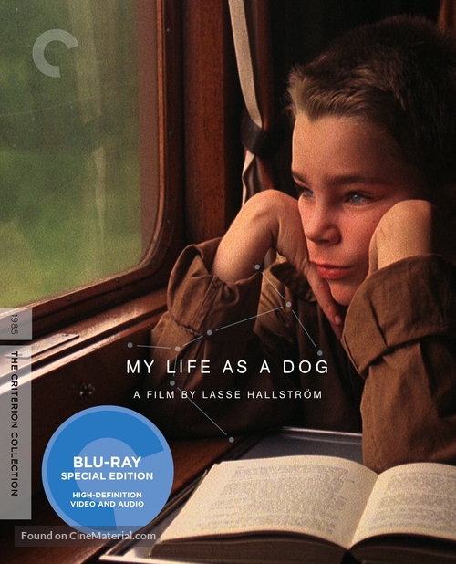 Mitt liv som hund - Blu-Ray movie cover