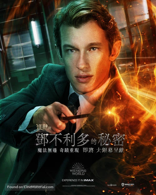 Fantastic Beasts: The Secrets of Dumbledore - Hong Kong Movie Poster