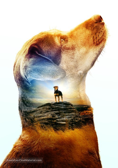 A Dog&#039;s Way Home - Key art