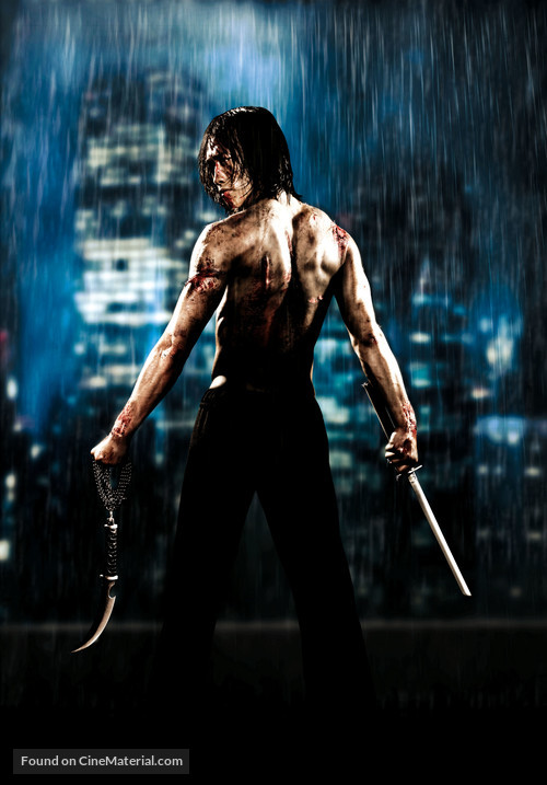 Ninja Assassin - French Key art