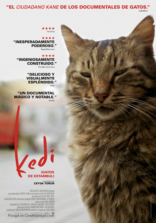 Kedi - Spanish Movie Poster