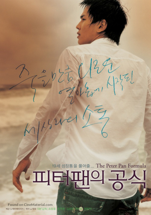 Piteopaeneui gongshik - South Korean poster