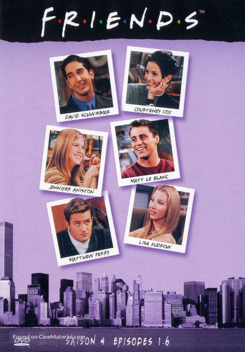 &quot;Friends&quot; - French DVD movie cover