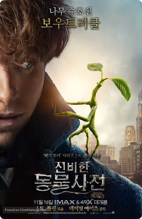 Fantastic Beasts and Where to Find Them - South Korean Movie Poster