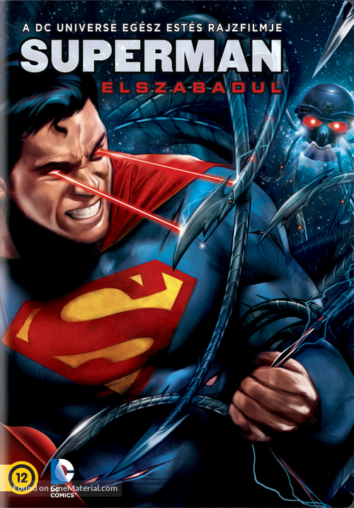 Superman: Unbound - Hungarian DVD movie cover
