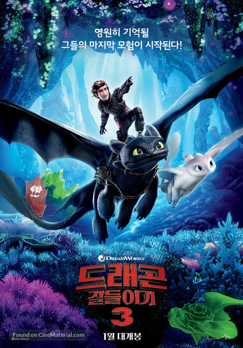How to Train Your Dragon: The Hidden World - South Korean Movie Poster