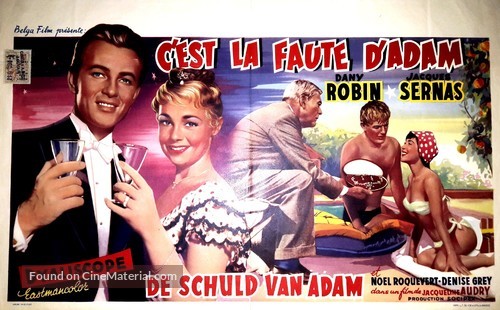 C&#039;est la faute d&#039;Adam - Belgian Movie Poster