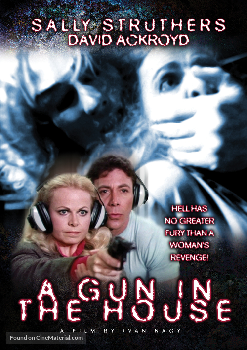 A Gun in the House - DVD movie cover