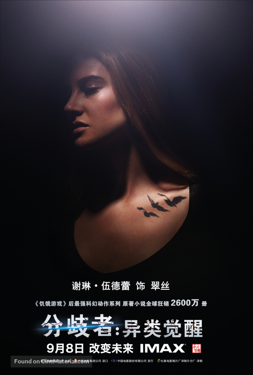 Divergent - Chinese Movie Poster