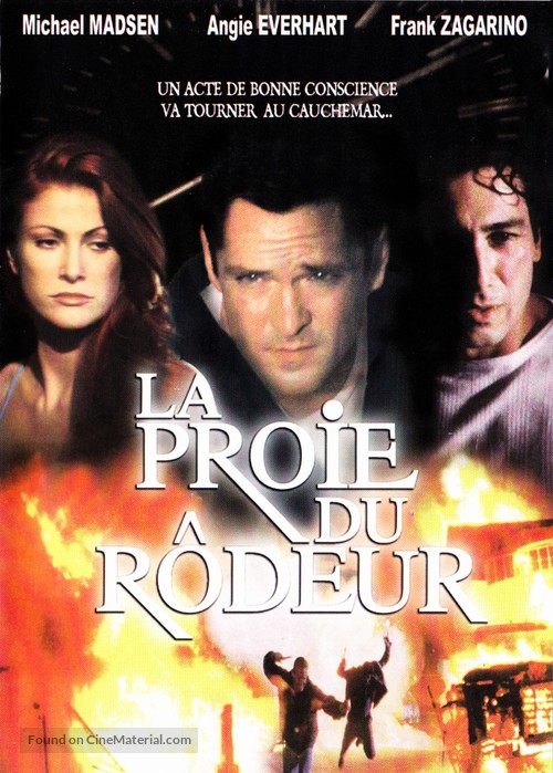 The Stray - French DVD movie cover