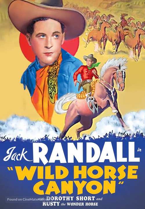 Wild Horse Canyon - DVD movie cover