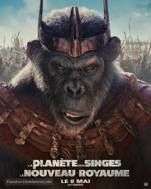 Kingdom of the Planet of the Apes - French Movie Poster