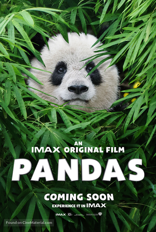 Pandas - Movie Poster