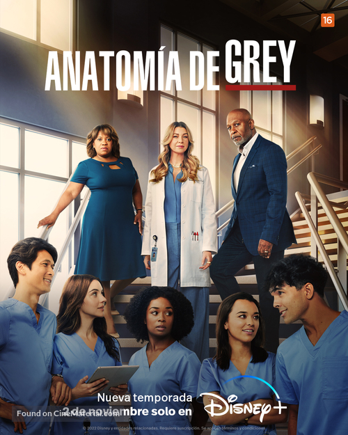 &quot;Grey&#039;s Anatomy&quot; - Spanish Movie Poster