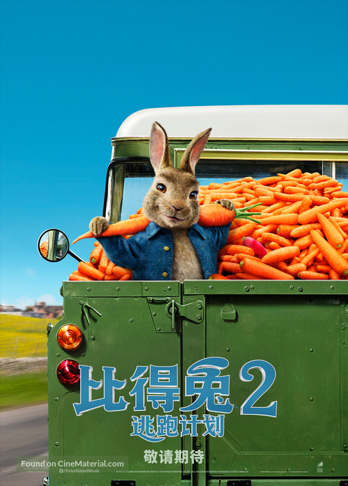 Peter Rabbit 2: The Runaway - Chinese Movie Poster