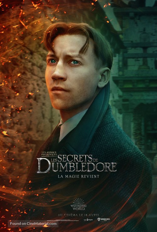 Fantastic Beasts: The Secrets of Dumbledore - French Movie Poster