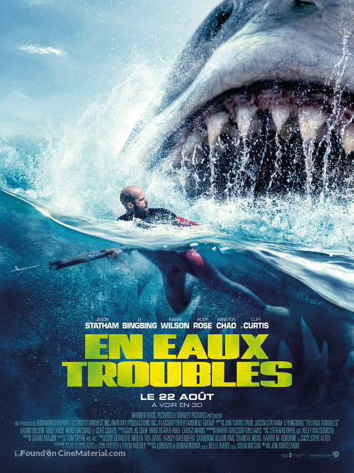 The Meg - French Movie Poster