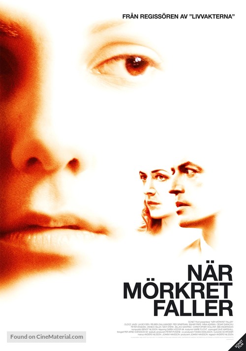 N&auml;r m&ouml;rkret faller - Swedish Movie Poster