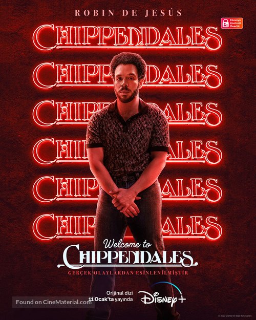 Welcome to Chippendales - Turkish Movie Poster