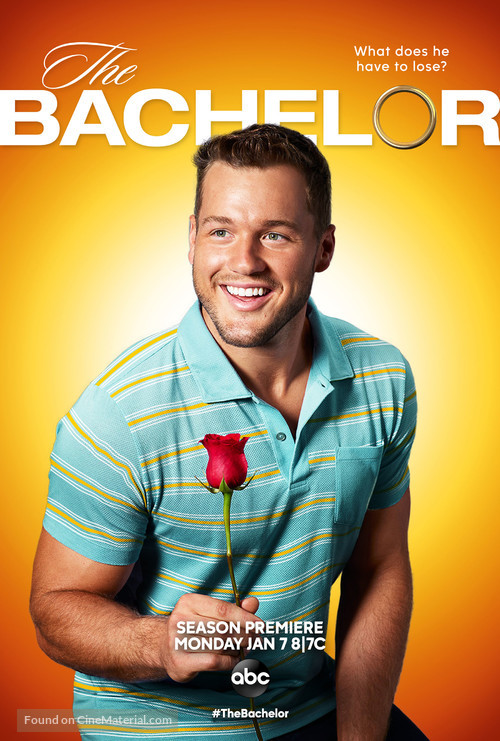 &quot;The Bachelor&quot; - Movie Poster