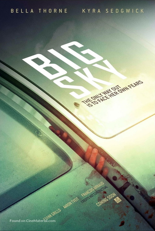 Big Sky - Movie Poster