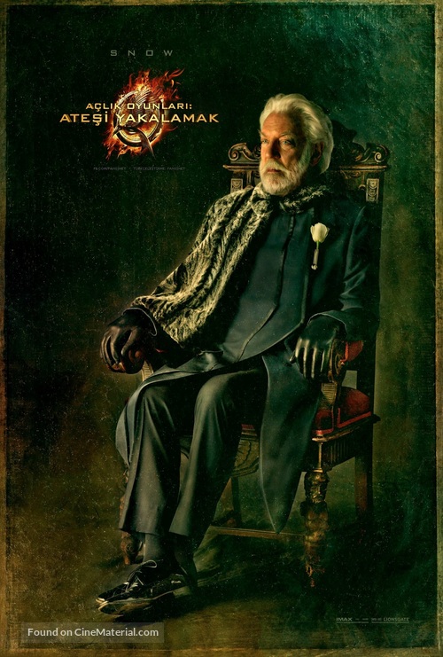 The Hunger Games: Catching Fire - Turkish Movie Poster