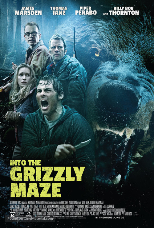 Into the Grizzly Maze - Movie Poster