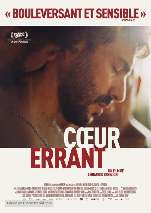 Errante coraz&oacute;n - French Movie Poster